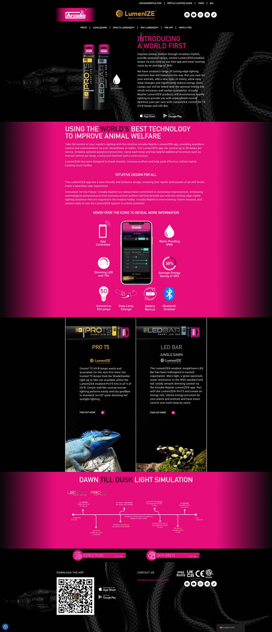 Arcadia LumenIZE website, full page